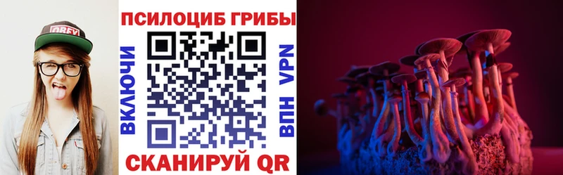 Псилоцибиновые грибы мухоморы  где продают наркотики  мега ССЫЛКА  Мензелинск 